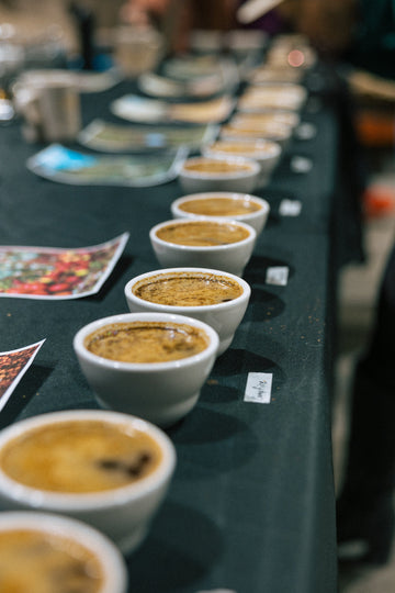 What is Coffee Cupping?