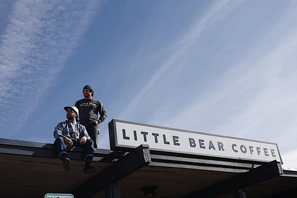 Little Bear Winter Drop