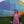 Little Bear Balloon Fiesta Tee